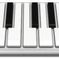 Artesia XKEY 37 Note USB Controller Keyboard